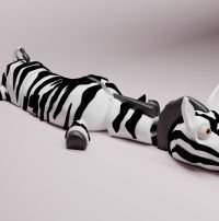 Zebras Zorro