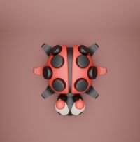 Boružėlė Polka