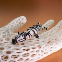 Zebras Zorro